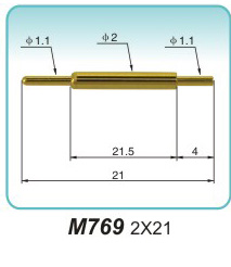 M769 2X21