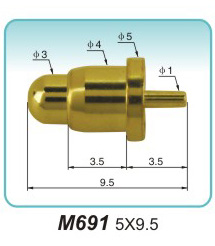 M691  5x9.5