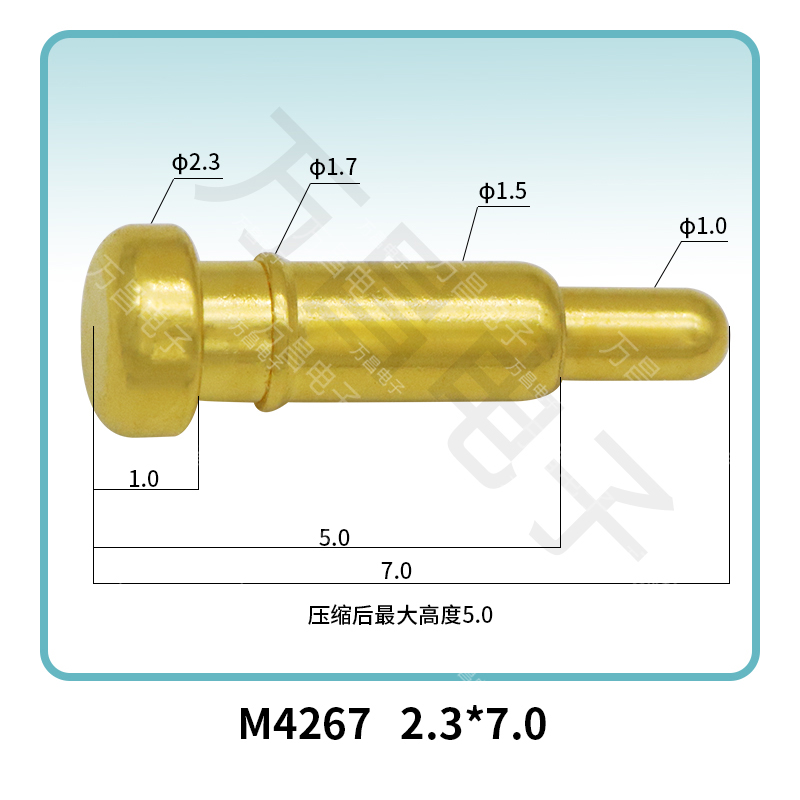 M4267(2A) 2.3*7.0