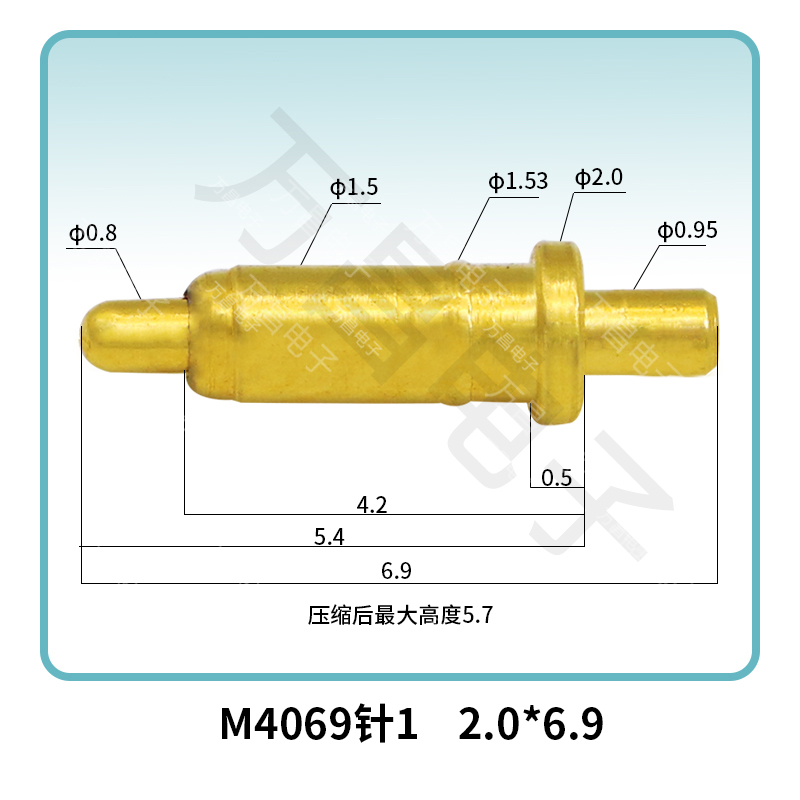 M4069针1 2.0*6.9