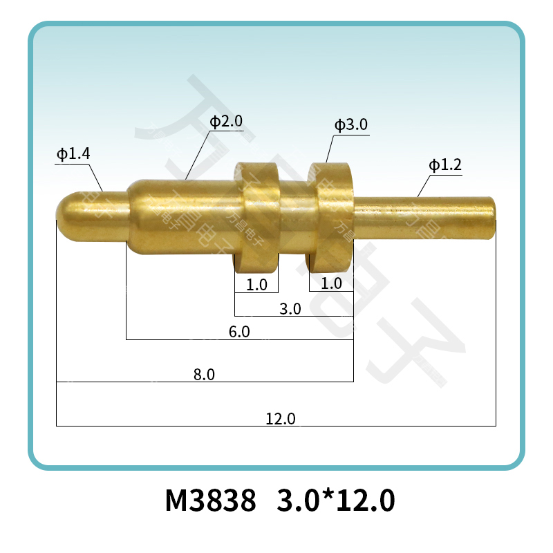 M3838 3.0*12.0